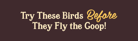 SummerLTO_Banner_Mobile