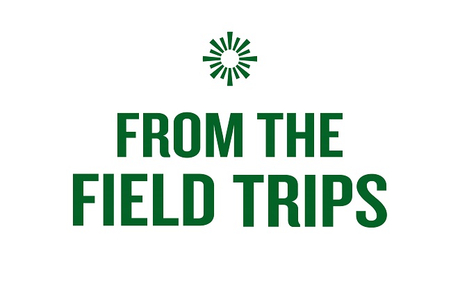 Three_Up 662x406_FromTheFieldTrips