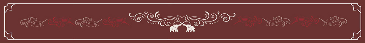 SpiceBazaar_Footer_1170x138